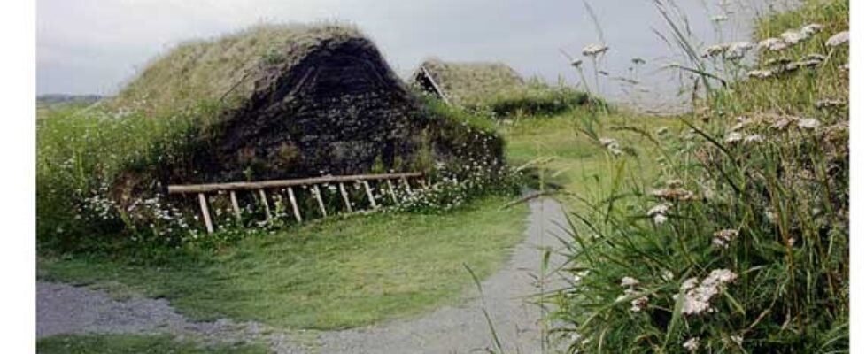 Viking Huts